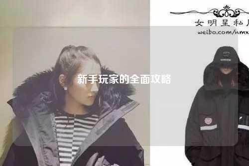新手玩家的全面攻略